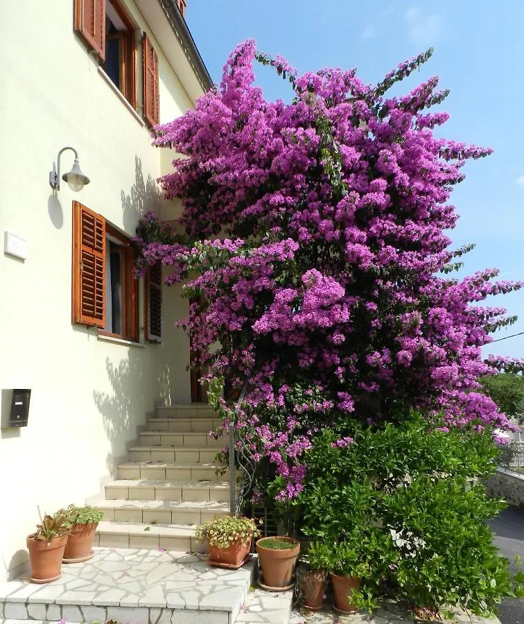 Mata Apartments Premantura